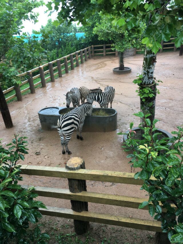 1470043990393439.jpg