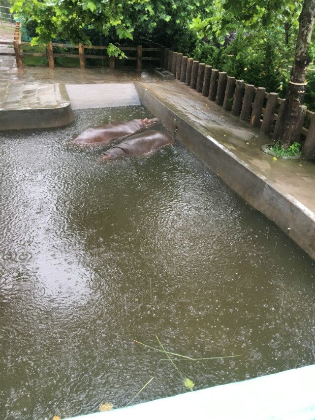 1470043991894372.jpg