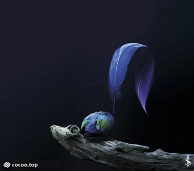 1515718766125988.png QQ图片20180112085519.png