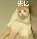 1589535705464252.png image.png